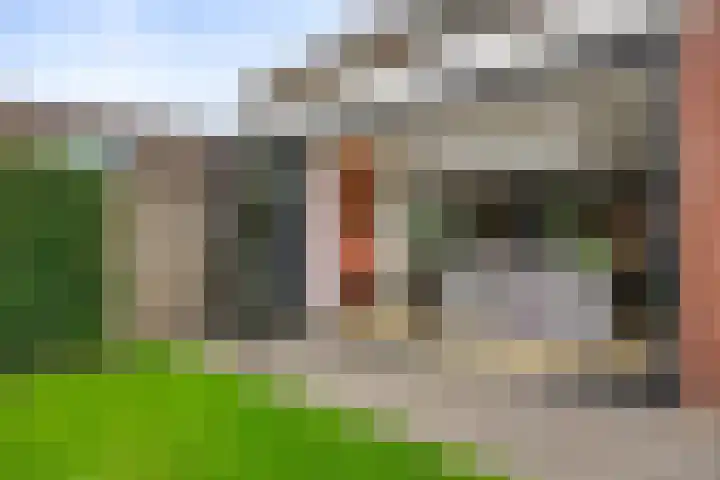 Potstal 23 Beek thumbnail 17