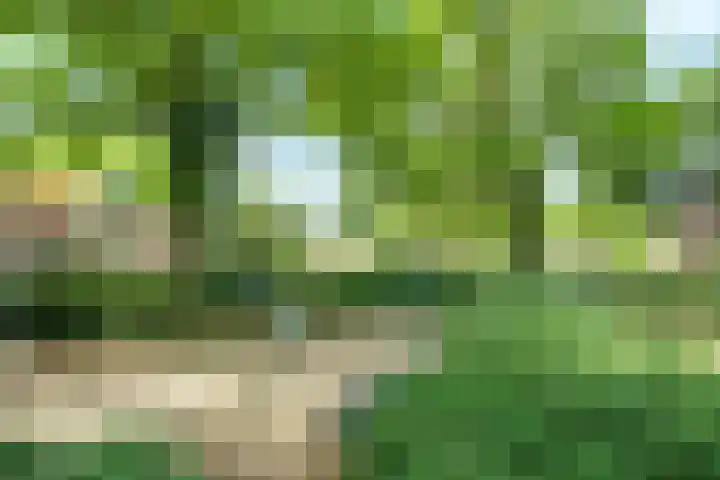 Potstal 23 Beek thumbnail 23