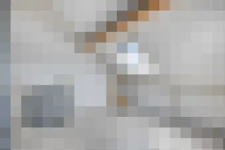 Potstal 23 Beek thumbnail 33