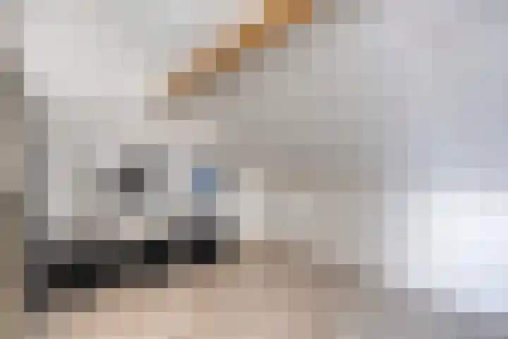 Potstal 23 Beek thumbnail 34
