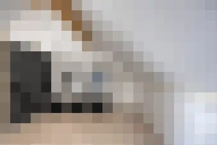 Potstal 23 Beek thumbnail 35