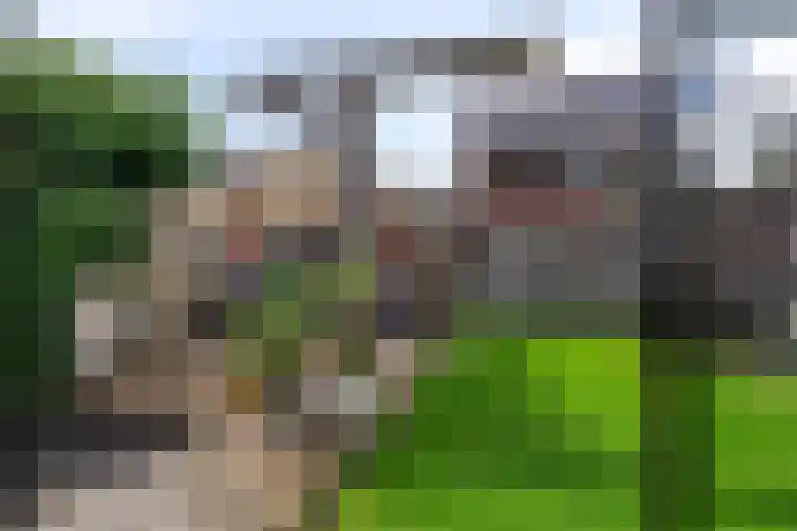 Potstal 23 Beek thumbnail 38