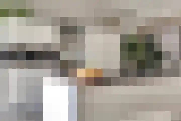 Potstal 25 Beek thumbnail 6