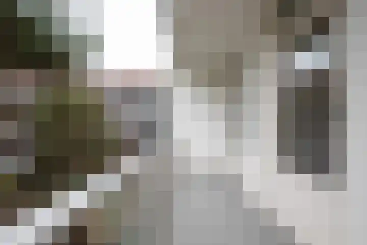 Potstal 25 Beek thumbnail 9