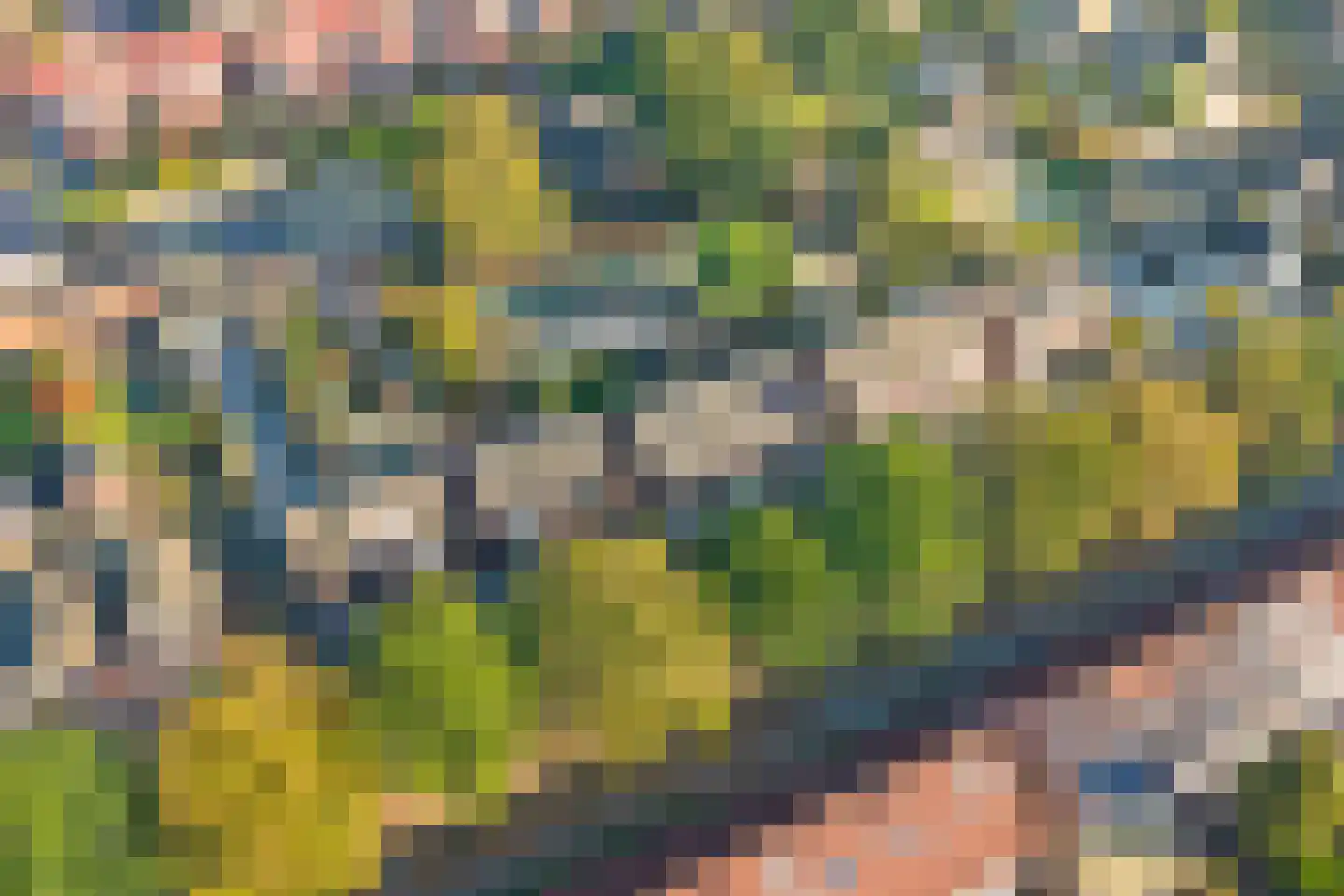 Potsweg 33 Enschede thumbnail 31