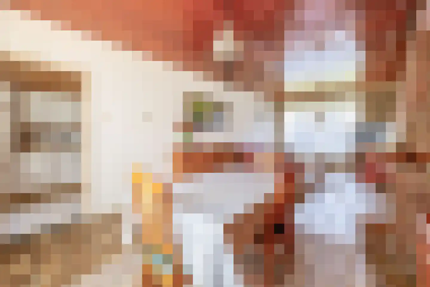 Pottbeckerstraat 3 Steyl thumbnail 10