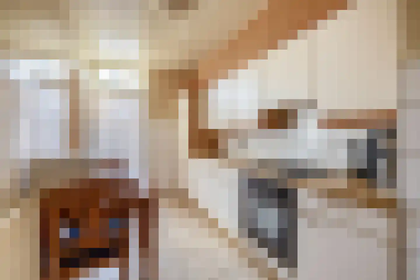 Pottbeckerstraat 3 Steyl thumbnail 11