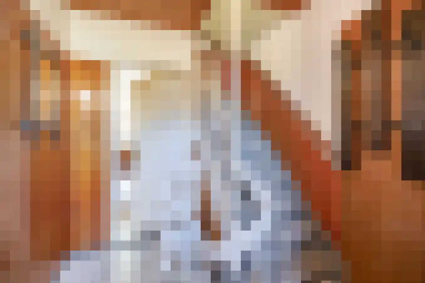 Pottbeckerstraat 3 Steyl thumbnail 13