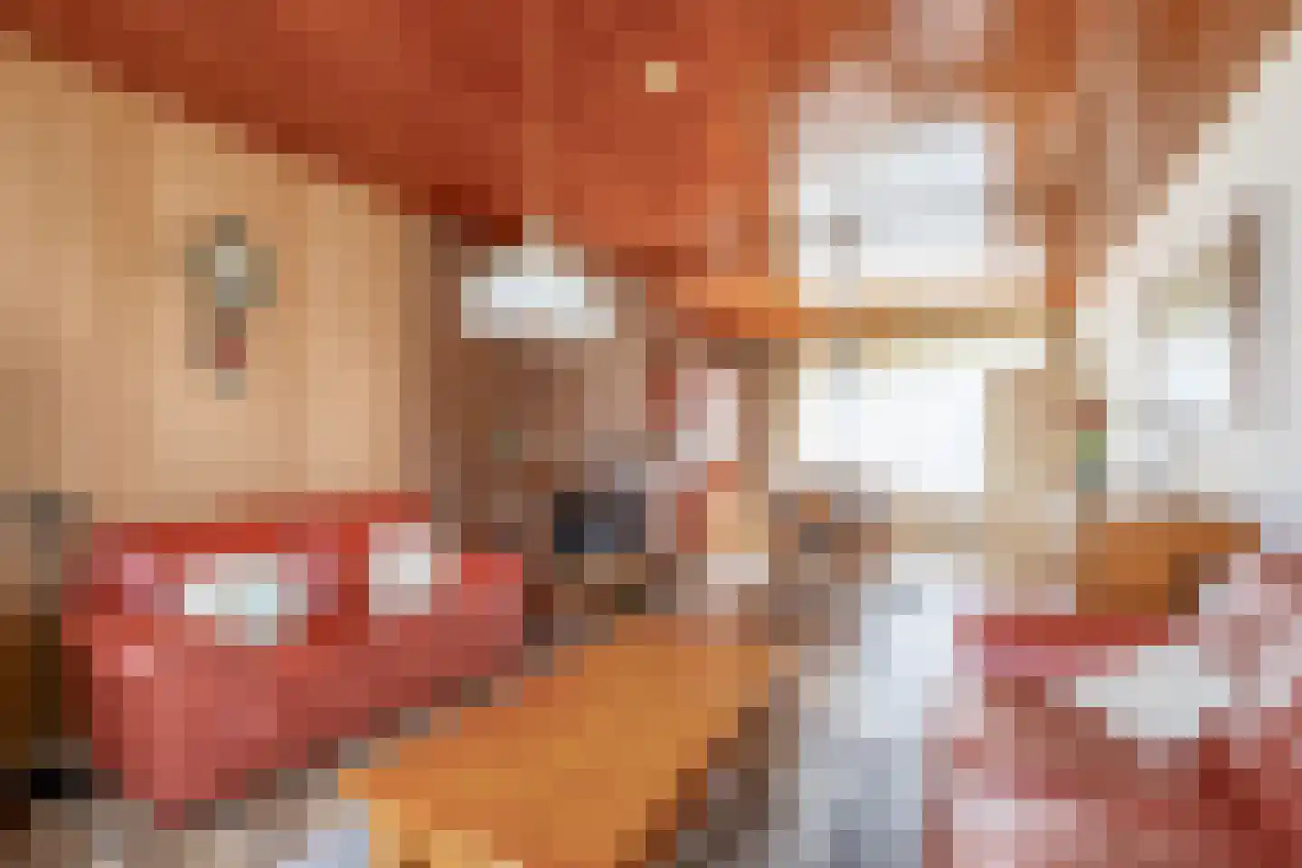 Pottbeckerstraat 3 Steyl thumbnail 8
