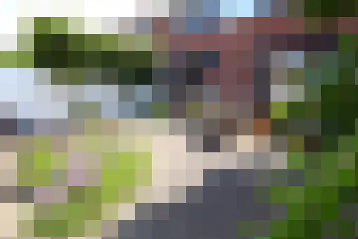 Pottebakkerstraat 22 Oosterhout thumbnail 9