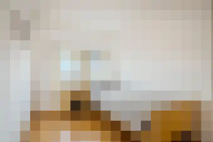 Pottebakkerstraat 25 Oosterhout thumbnail 34
