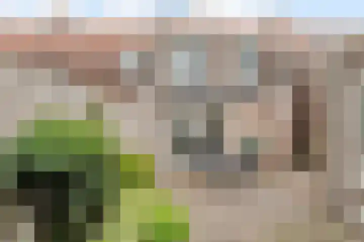 Pottebakkerstraat 25 Oosterhout thumbnail 54