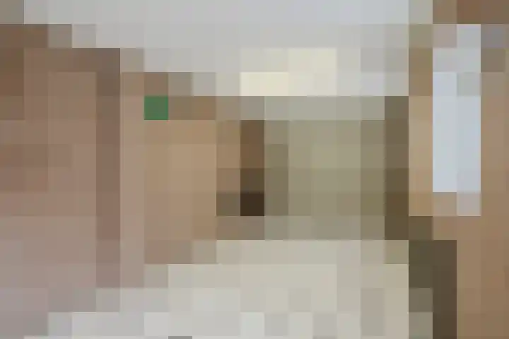 Pottebakkerstraat 25 Oosterhout thumbnail 57