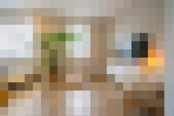 Pottenbakker 13 Deurne thumbnail 12