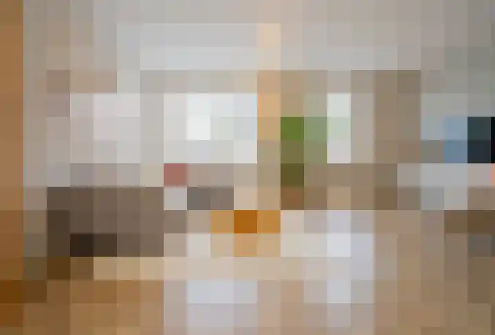 Pottenbakker 13 Deurne thumbnail 13