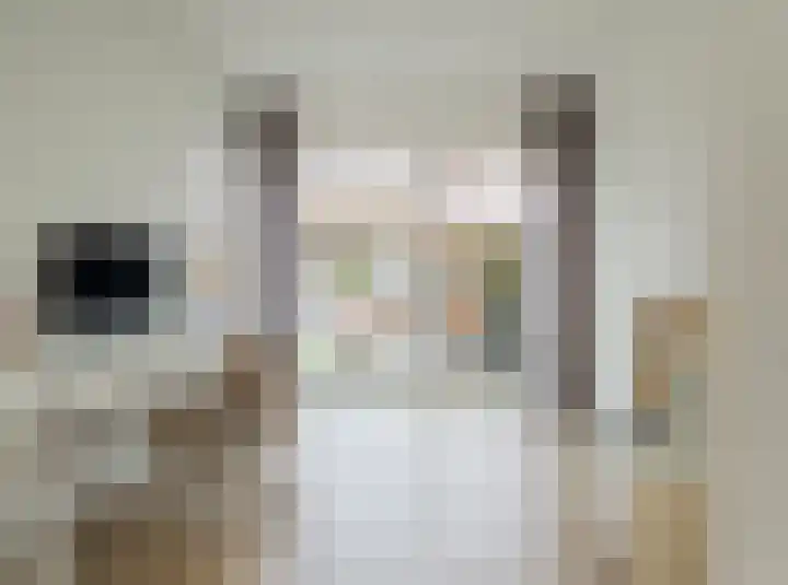 Pottenbakker 13 Deurne thumbnail 24