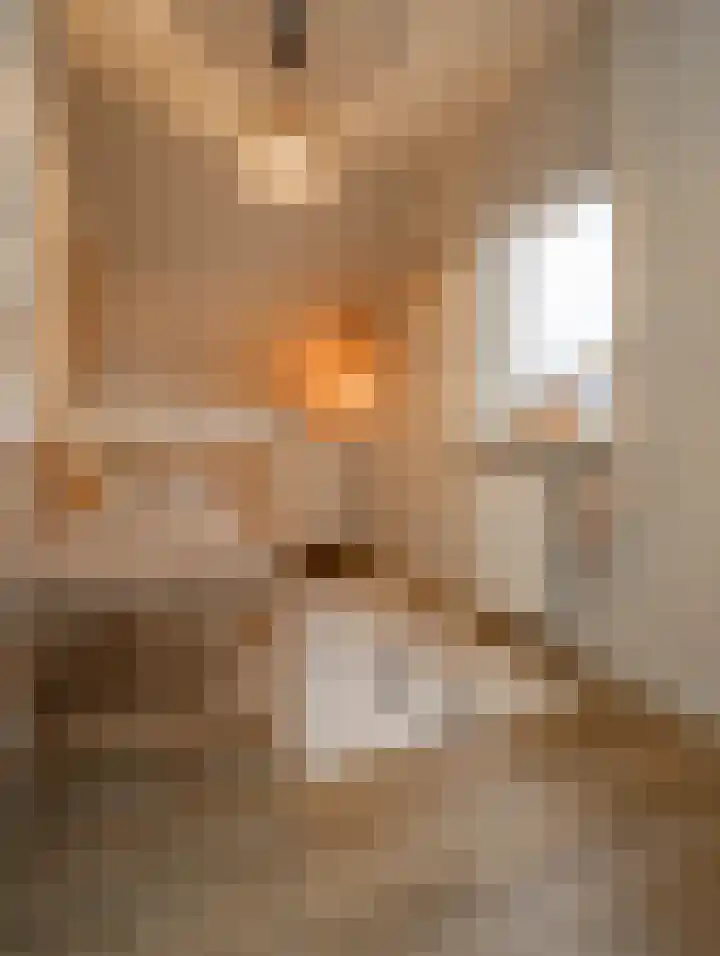 Pottenbakker 13 Deurne thumbnail 38