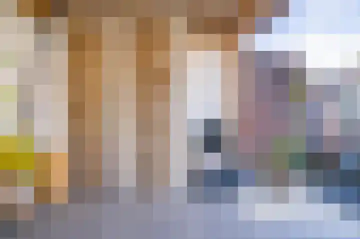 Pottenbakker 13 Deurne thumbnail 53