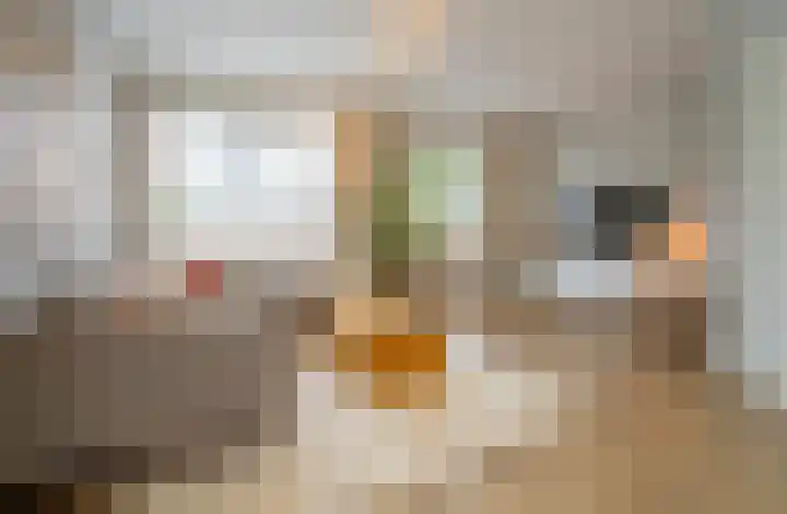 Pottenbakker 13 Deurne thumbnail 8