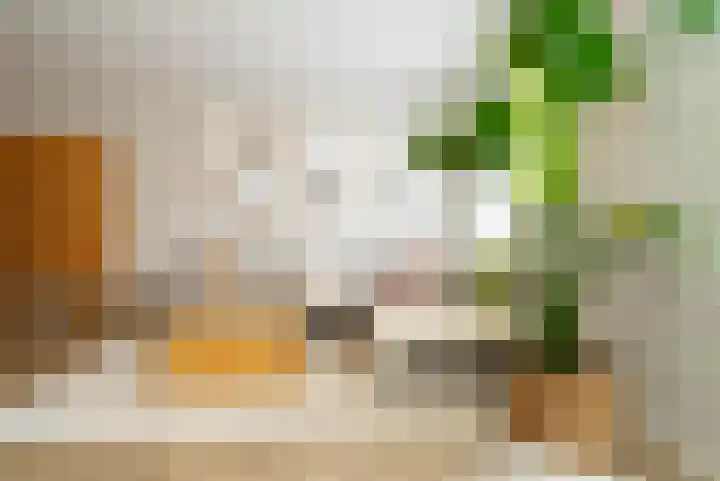 Pottenbakker 13 Deurne thumbnail 9