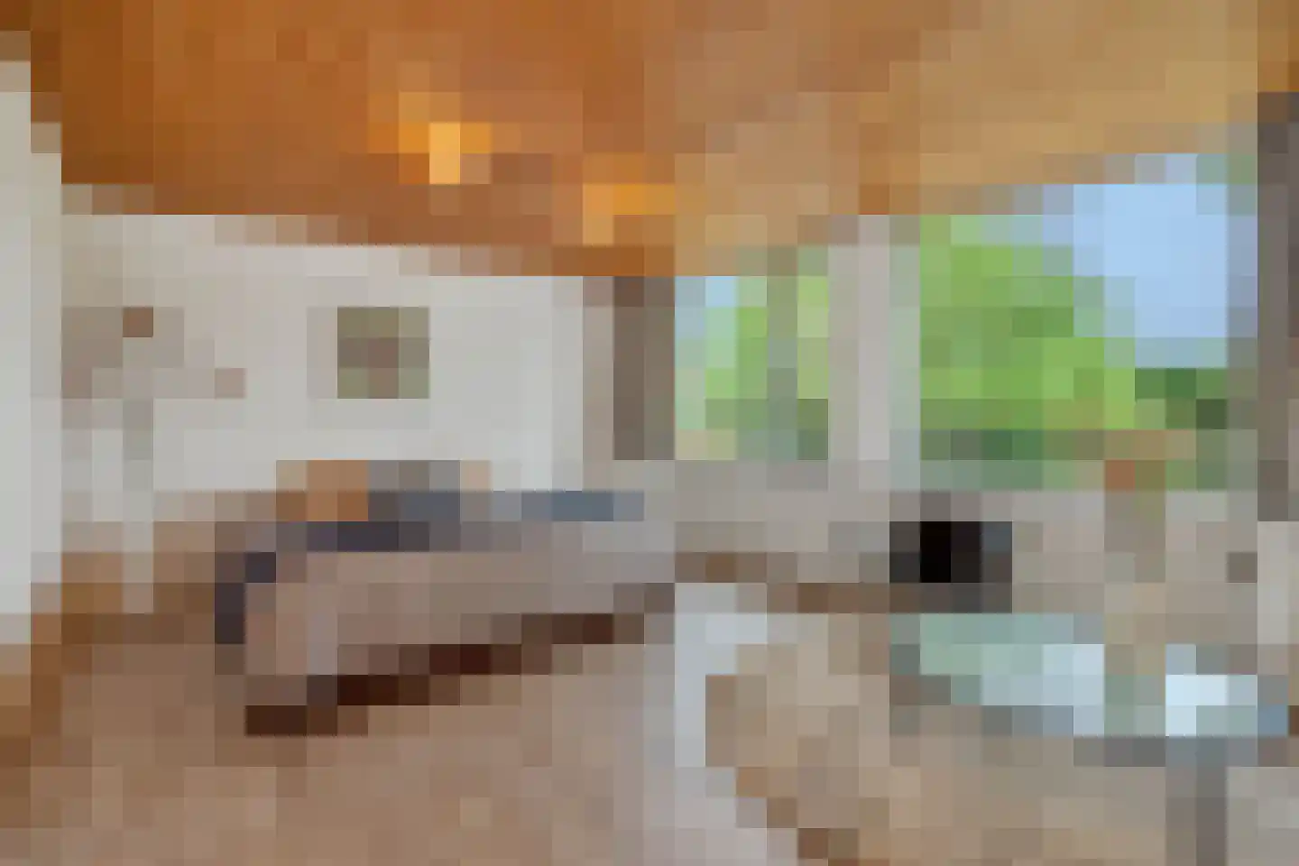 Pottenbakker 21 's-Hertogenbosch thumbnail 21