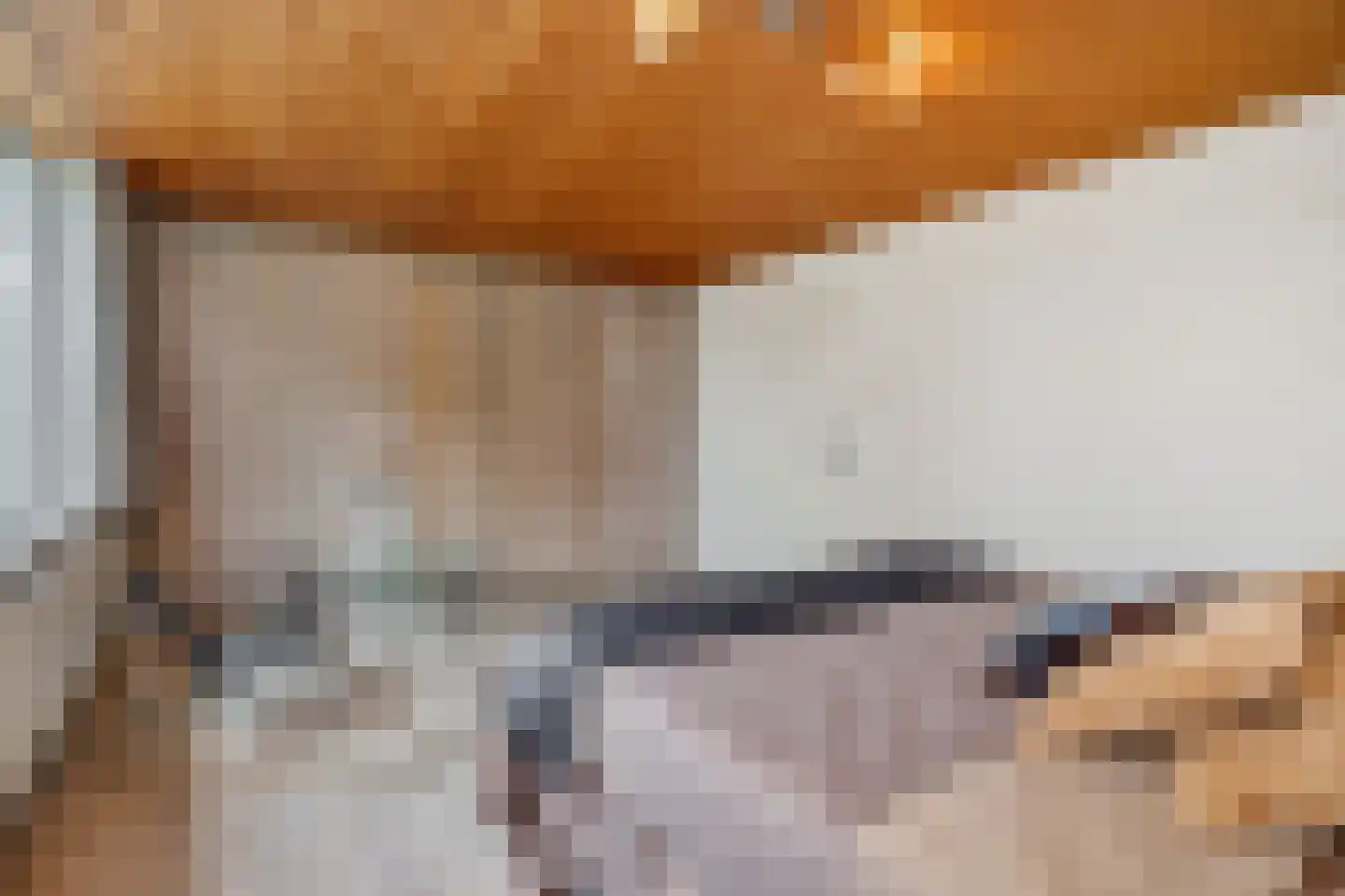 Pottenbakker 21 's-Hertogenbosch thumbnail 22