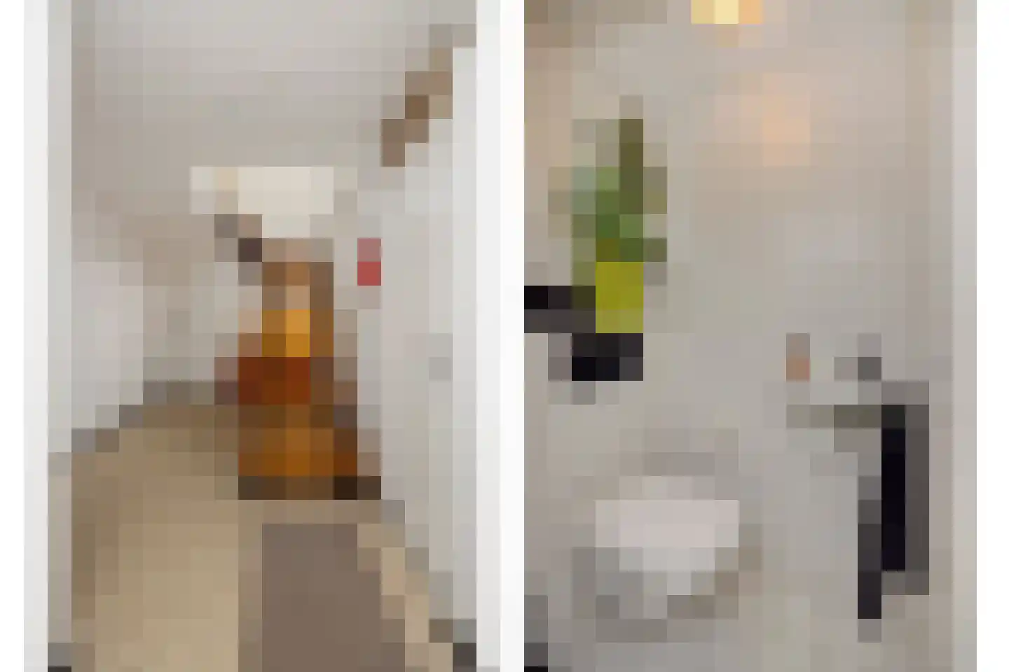 Pottenbakker 21 's-Hertogenbosch thumbnail 29