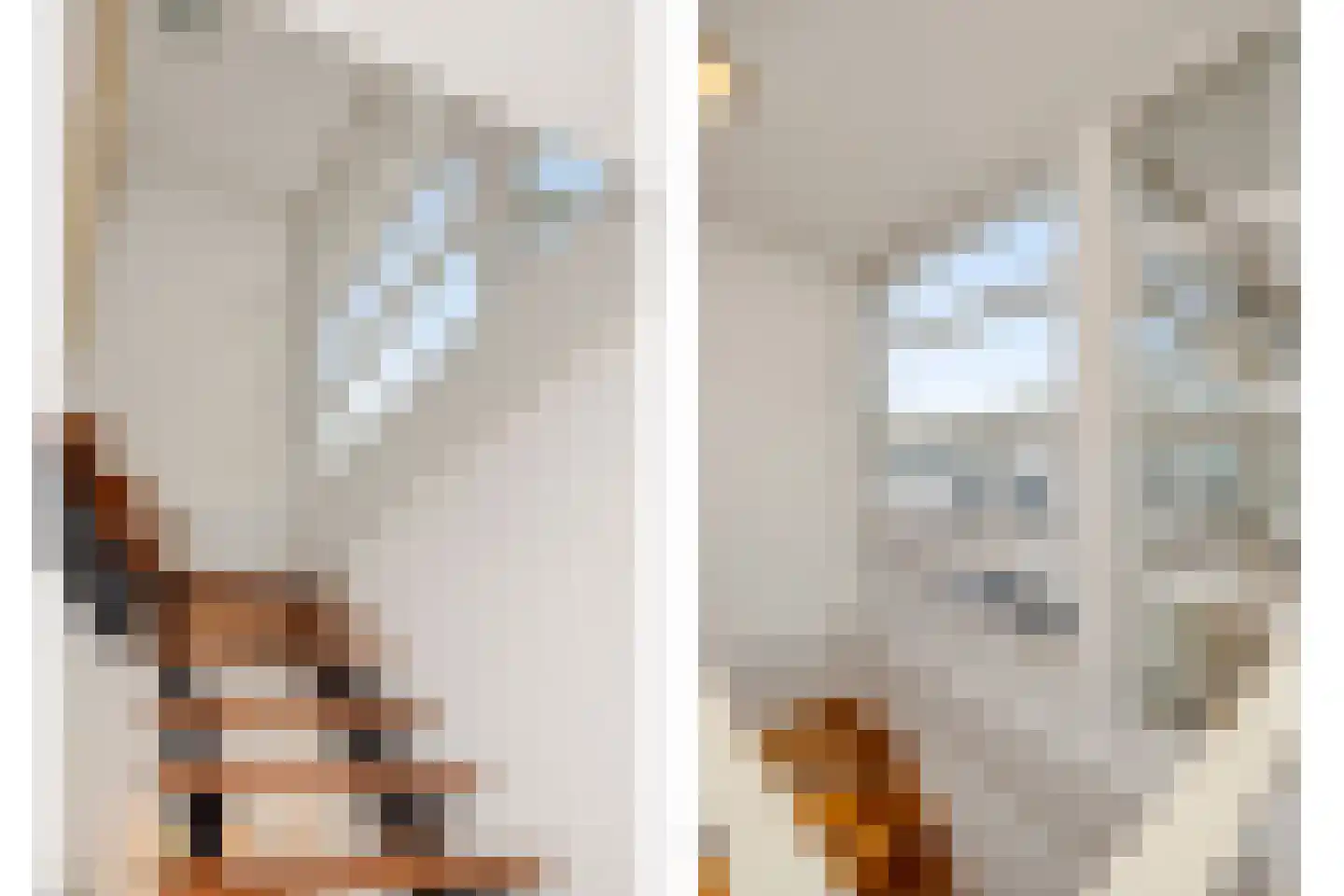 Pottenbakker 21 's-Hertogenbosch thumbnail 30