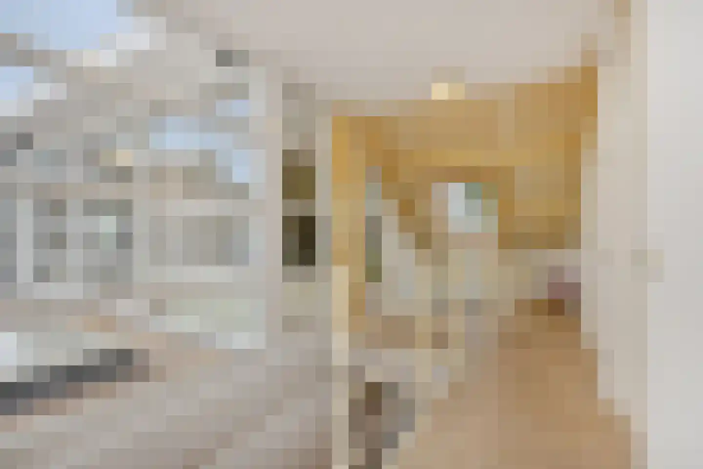 Pottenbakker 21 's-Hertogenbosch thumbnail 31