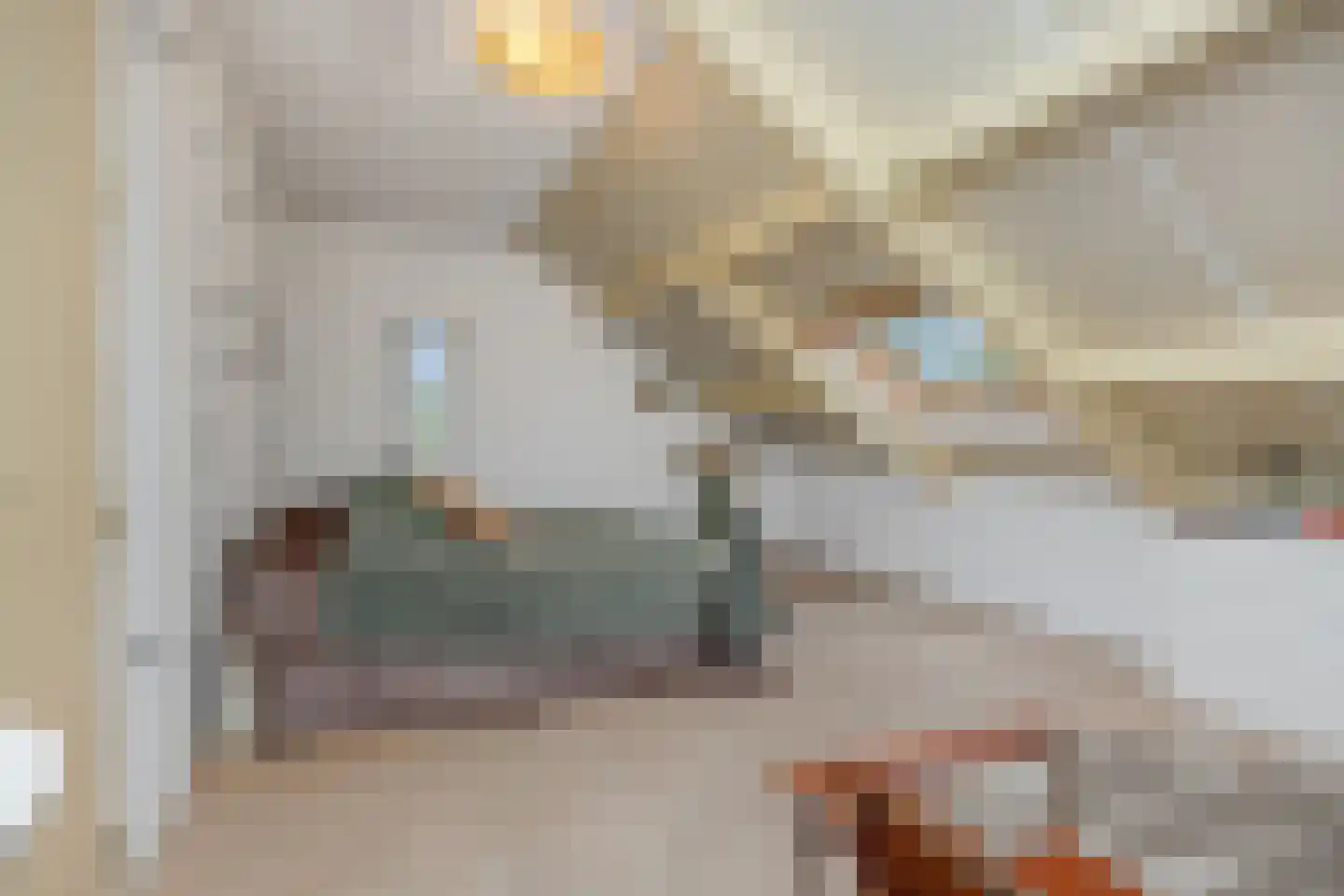 Pottenbakker 21 's-Hertogenbosch thumbnail 32