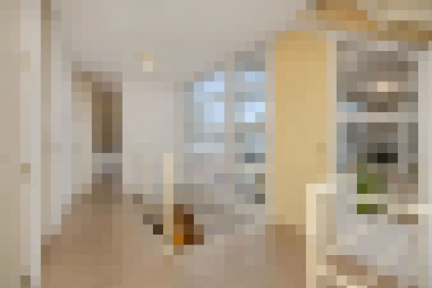 Pottenbakker 21 's-Hertogenbosch thumbnail 45
