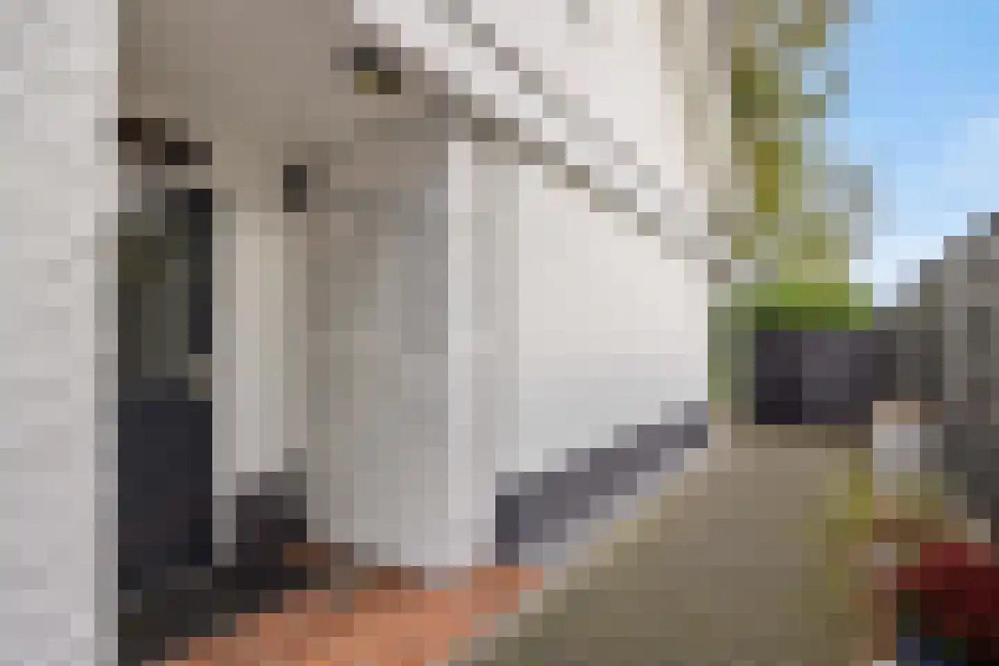 Pottenbakker 21 's-Hertogenbosch thumbnail 46