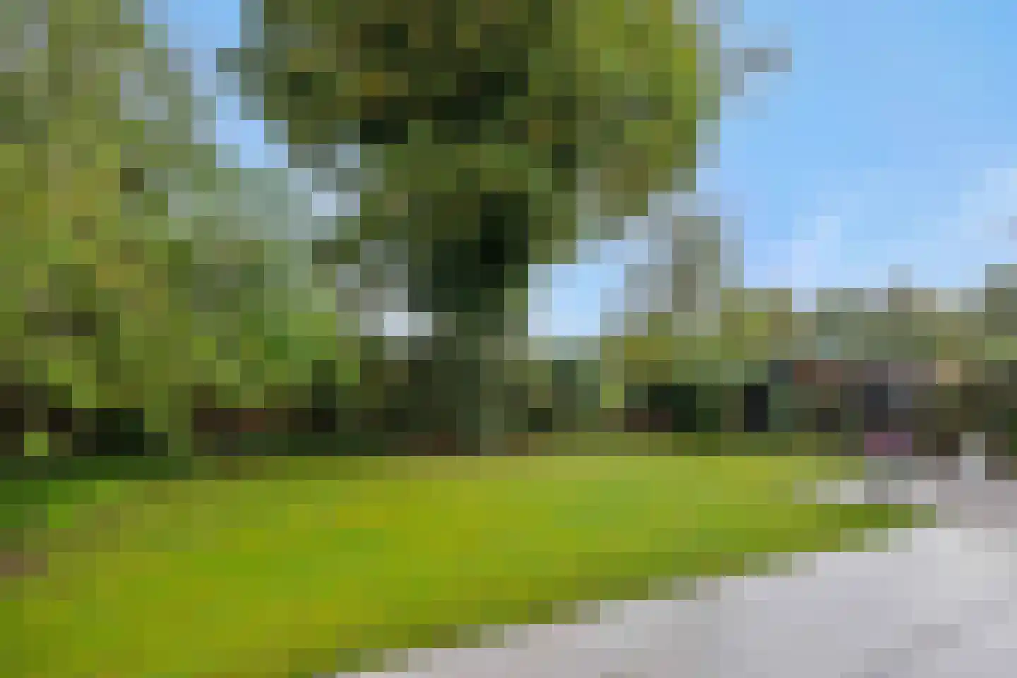 Pottenbakker 21 's-Hertogenbosch thumbnail 49