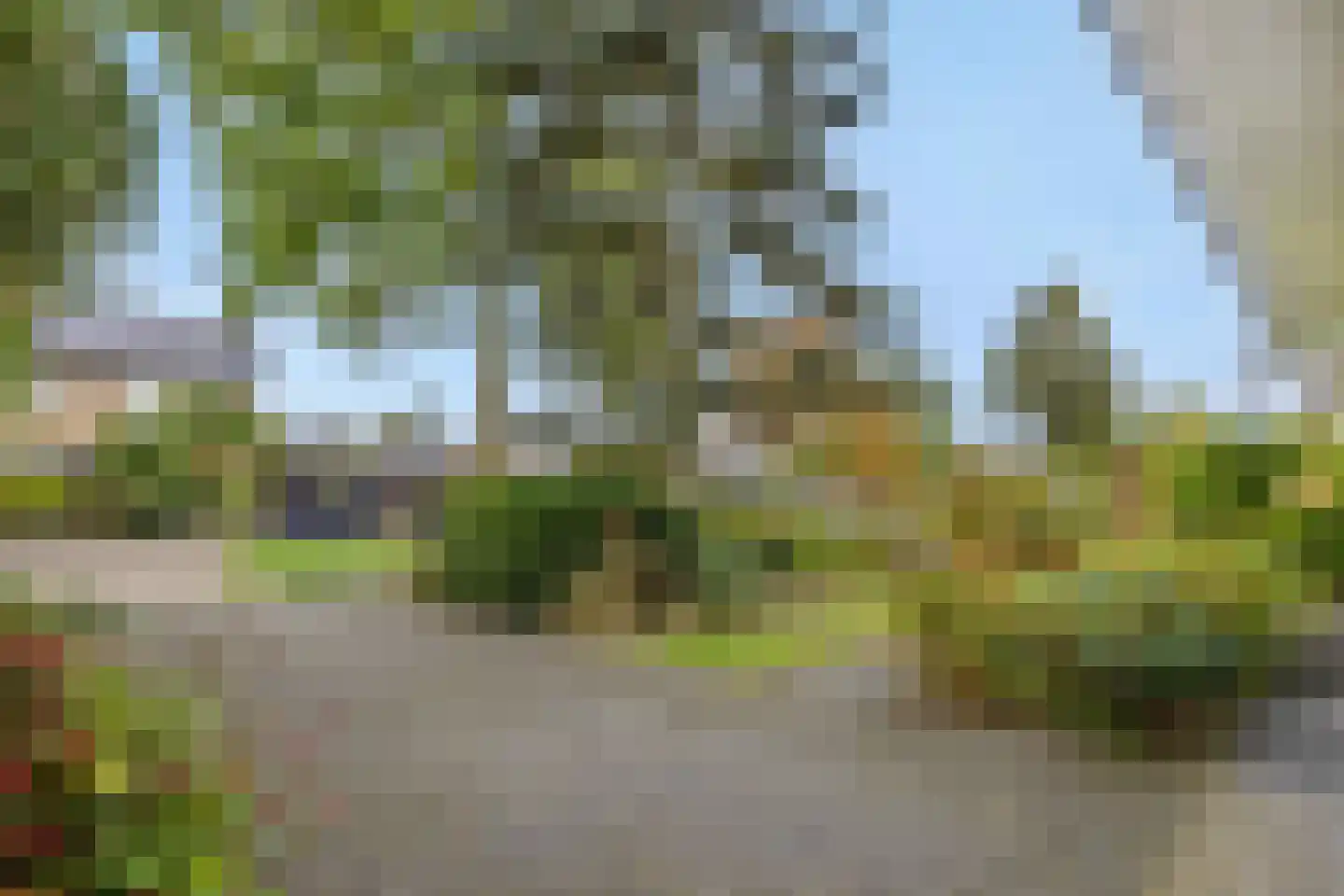 Pottenbakker 21 's-Hertogenbosch thumbnail 54
