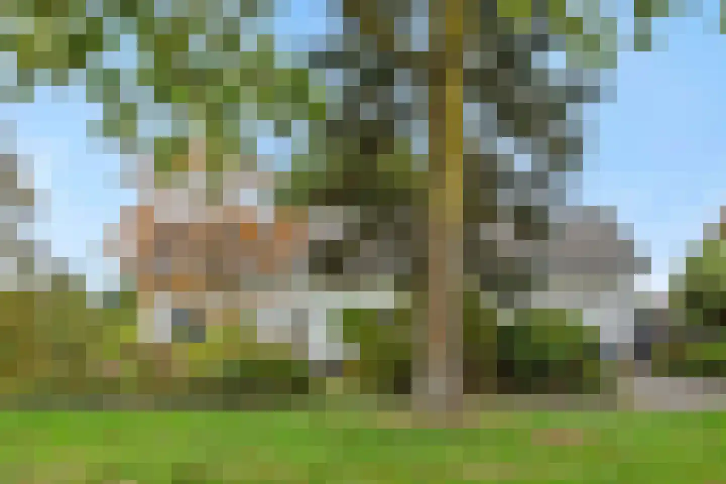Pottenbakker 21 's-Hertogenbosch thumbnail 58