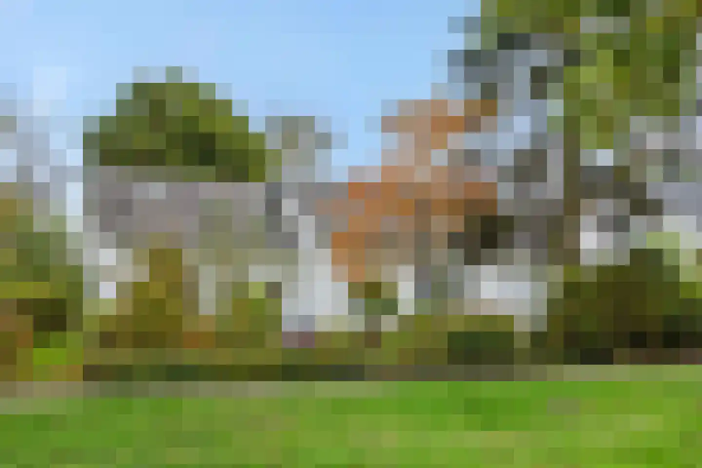 Pottenbakker 21 's-Hertogenbosch thumbnail 59