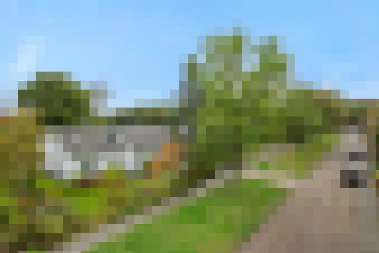 Pottenbakker 21 's-Hertogenbosch thumbnail 61