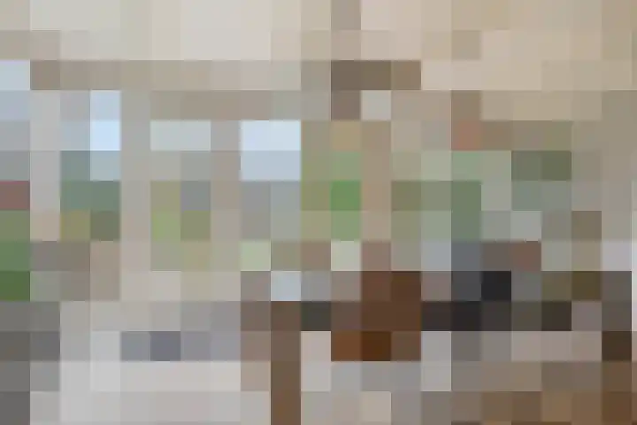 Pottenbakker 34 Beuningen Gld thumbnail 10