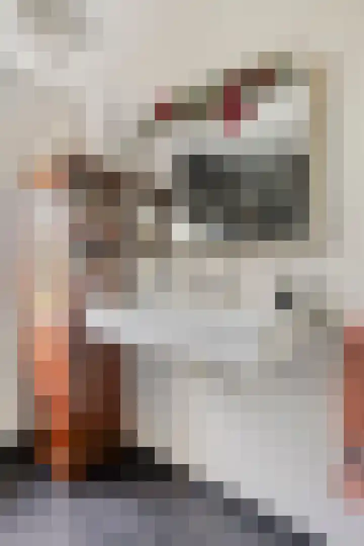 Pottenbakker 34 Beuningen Gld thumbnail 21