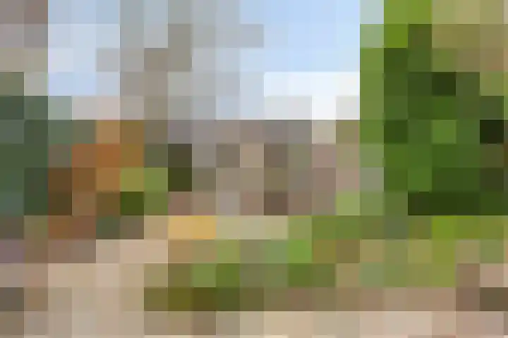 Pottenbakker 34 Beuningen Gld thumbnail 26