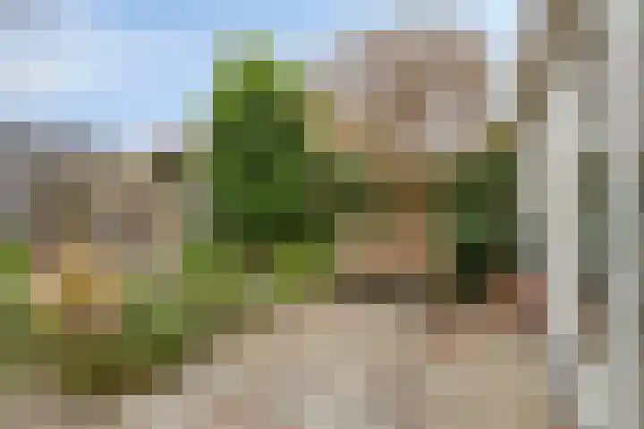 Pottenbakker 34 Beuningen Gld thumbnail 27