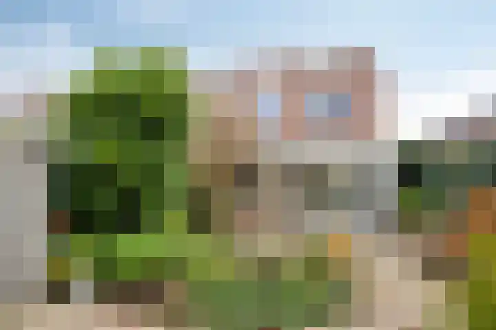 Pottenbakker 34 Beuningen Gld thumbnail 28