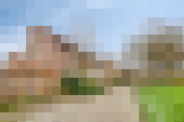 Pottenbakker 34 Beuningen Gld thumbnail 30
