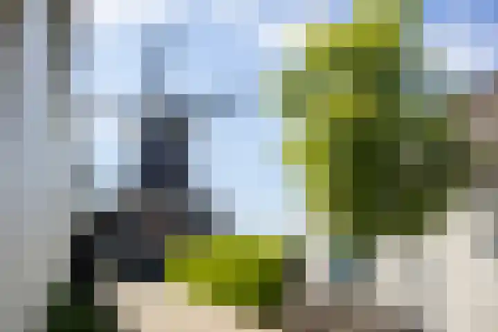 Pottenbakker 34 Beuningen Gld thumbnail 34