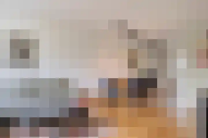 Pottenbakker 34 Beuningen Gld thumbnail 5