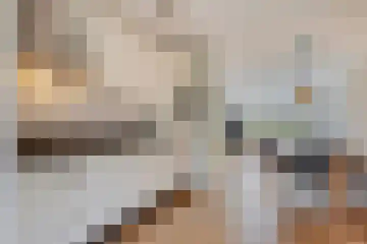Pottenbakker 34 Beuningen Gld thumbnail 9