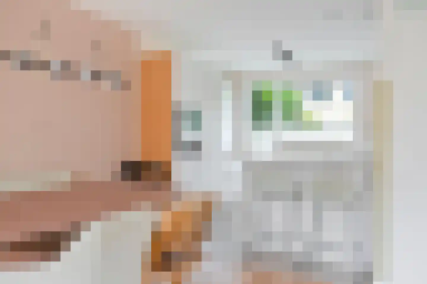 Pottenbakkerlaan 20 Hoogland thumbnail 13
