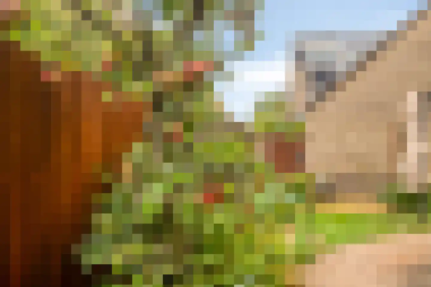 Pottenbakkerlaan 20 Hoogland thumbnail 30