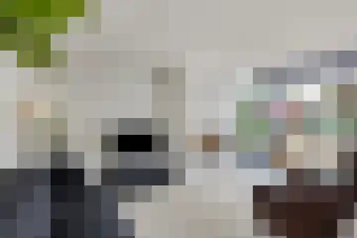 Pottenbakkerlaan 28 Hoogland thumbnail 11