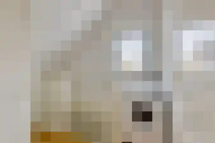 Pottenbakkerlaan 28 Hoogland thumbnail 30